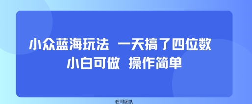 小众蓝海玩法 一天搞了四位数 小白可做 操作简单-yicbd