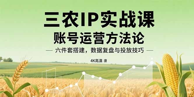 三农IP实战课：账号运营方法论，六件套搭建，数据复盘与投放技巧-yicbd