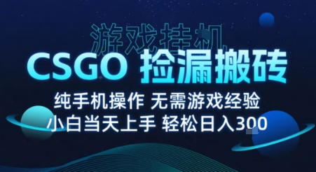 8月最新游戏搬砖，CSGO纯挂G，不需要玩游戏，实现真挂G，月入1W+【揭秘】-yicbd