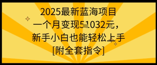 2025最新蓝海项目一个月变现1w+新手小白也能轻松上手【附全套指令】-yicbd