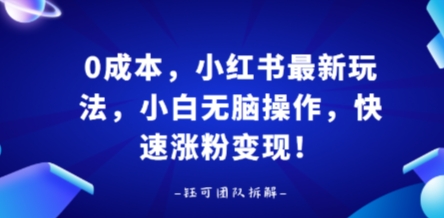 0成本，小红书最新玩法，小白无脑操作，快速涨粉变现-yicbd