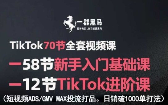 TikTok全套视频课，新手入门+进阶课，短视频ADS-GMV MAX投流打品，日销破1000单打法-yicbd