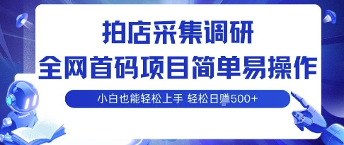 拍店采集调研，全网首码项目，简单易操作， 小白也能轻松上手，多账号操作，轻松日入5张【揭秘】-yicbd