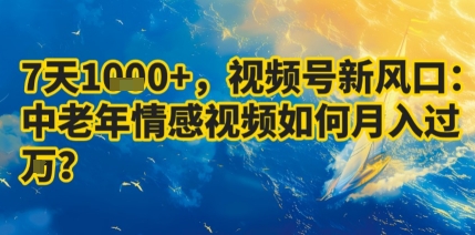 7天收益1k+，视频号新风口：中老年情感视频如何月入过W?-yicbd
