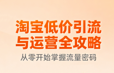淘宝低价引流与运营全攻略(更新9月)-yicbd